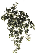 Set 2 Edera Artificiale English Ivy con 129 Foglie Altezza 68 cm Verde