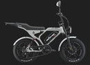 Fat Bike Elettrica Ape Ryder Mandril Ultra 250W 48V Bici Elettrica Pedalata Assistita Autonomia 50 km Grigio  
