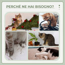 Albero Tiragraffi per Gatti Multilivello con Amaca e Pallina Appesa in Legno e Peluche 50x36x70cm Grigio Chiaro      