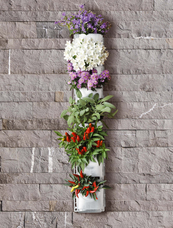 Jardin Vertical 6 Pots 15x17x12 cm Rama Jardin Vertical Interchangeable sconto