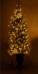 Albero di Natale Luminoso 600 LED H195cm Verde