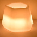 Vaso Luminoso da Giardino a LED 40x35x27 cm in Resina 5W Magnolia Bianco Caldo