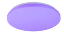 Plafoniera da Interno a LED in Plastica Bianco