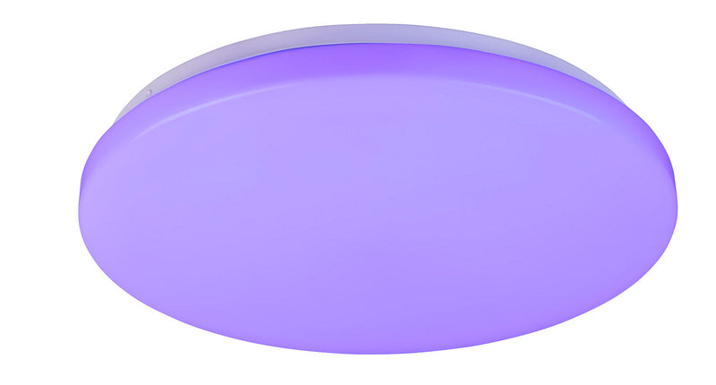 Plafoniera da Interno a LED in Plastica Bianco