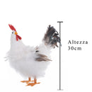 Gallo Decorativo H 30 cm