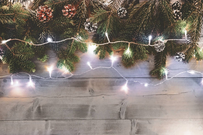 Luci di Natale 240 LED 9,6m Bianco da Interno Soriani