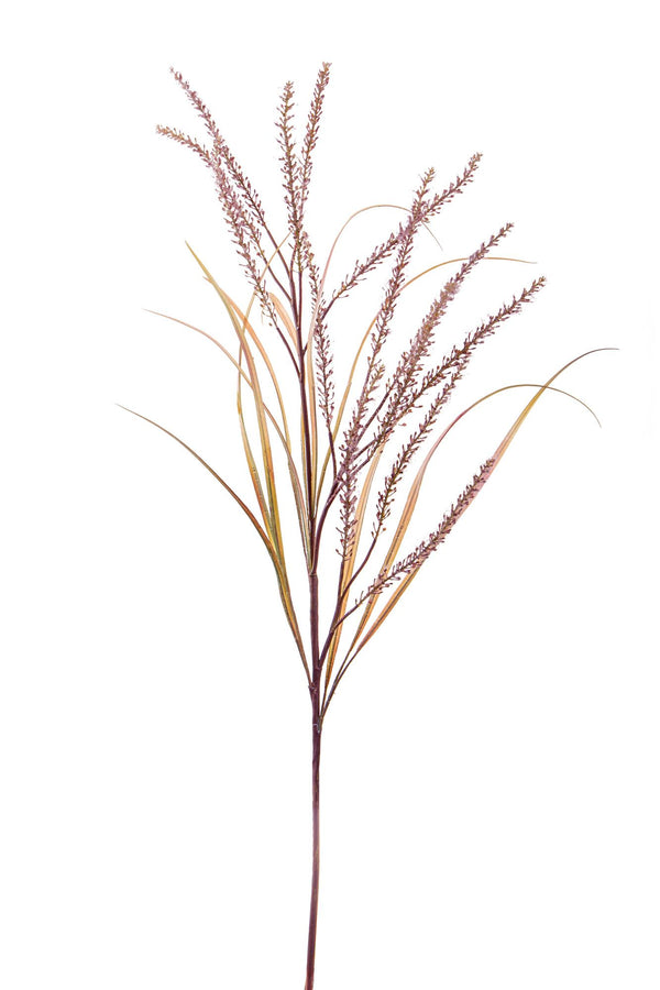 Set 2 Pennisetum artificiel avec 14 branches Hauteur 130 cm Marron acquista