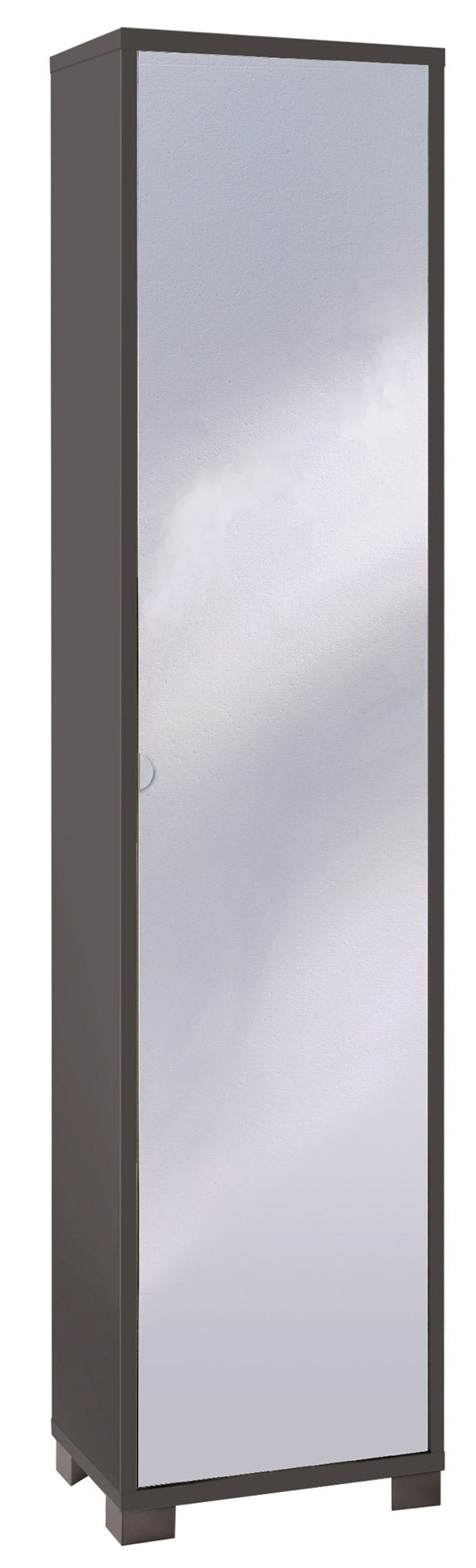 online Armoire 1 porte avec miroir 43x190x29 cm Titane