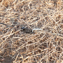 Paravento da Spiaggia Pieghevole Frangivista 540x150 cm in Poliestere con Barre in Acciaio Grigio   