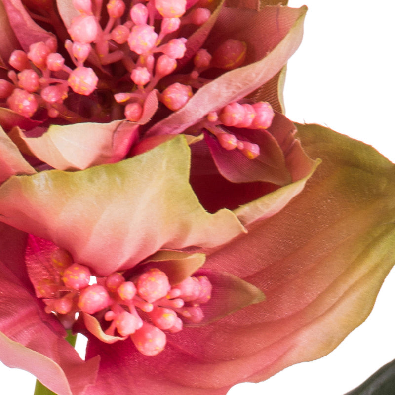 Set 2 Fiori Artificiali di Medinilla Altezza 86 cm Rosa