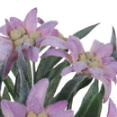 Set 2 Piante di Stella Alpina Artificiali Composta da 9 Fiori Altezza 25 cm Rosa