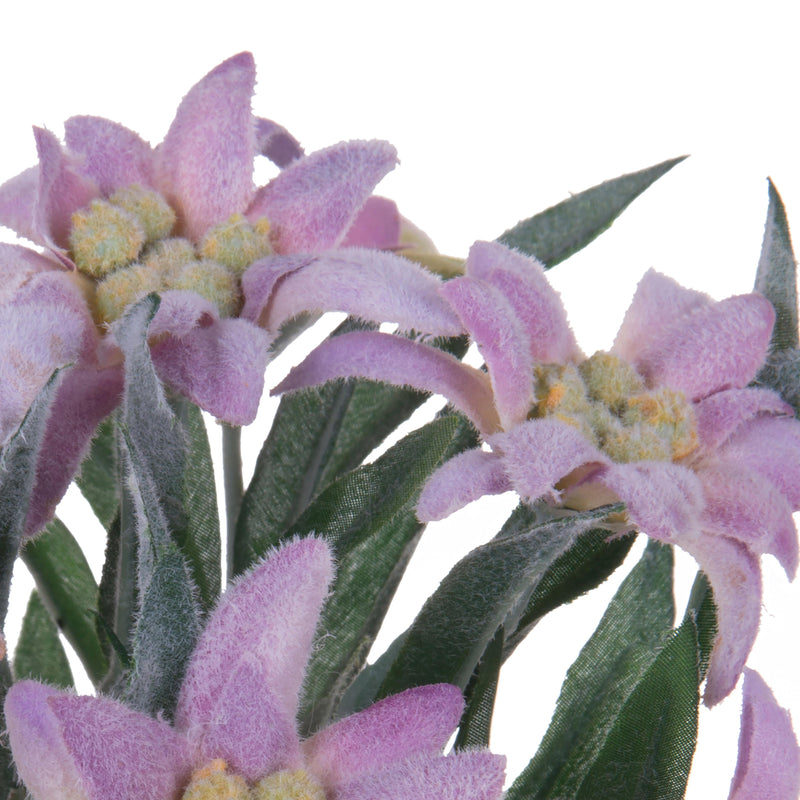 Set 2 Piante di Stella Alpina Artificiali Composta da 9 Fiori Altezza 25 cm Rosa