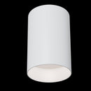 Plafoniera Ceiling & Wall in Alluminio Alfa Bianco
