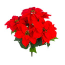 Set 2 Cespugli Stella Natale con 7 Fiori H50 cm Rosso