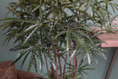 Aralia Artificiale a 2 Diramazioni con 954 Foglie Altezza 150 cm Verde
