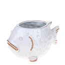 Set 2 Vasi Pesci 23x14 H 12,5 cm 