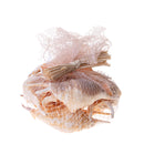 Set 18 Conchiglie Lambis in Rete 