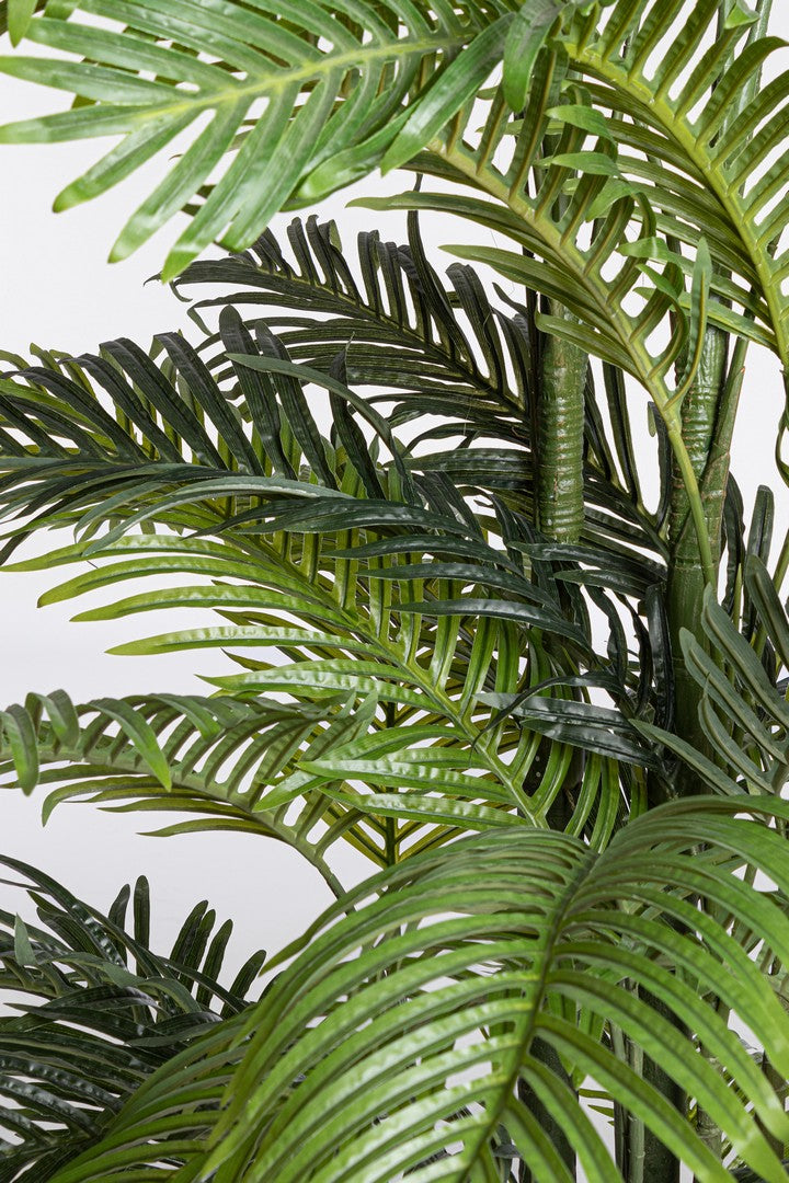 Pianta Artificiale di Kenzia Ø150x210 cm in Plastica con Vaso Verde 