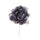 Set 12 Pics Pivoine Ø14 cm Gris