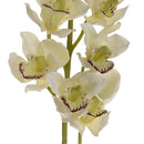 Set 2 Cymbidium Artificiale Real Touch con 10 Fiori e 2 Bocci Altezza 92 cm Bianco