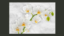 Fotomurale - Lirica Orchidea - Bianco Carta Da Parato Erroi