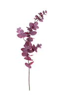 Set 4 Eucalipto Rami 75 cm 