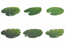 Set 6 Tovagliette 47x37 cm in Plastica Villa d'Este Home Tivoli Jungle Vari Colori