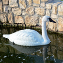 Cigno Decorativo H46 cm per Laghetti da Giardino