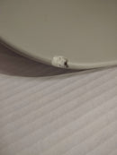 Set 2 Sedie 49x48,5x88 cm in Polipropilene Grigio Chiaro Seconda Scelta