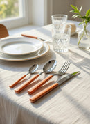 Servizio Set di Posate 24 Pezzi in Acciaio Eme Fast Arancio 79