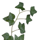 Set 8 Tralcio Artificiale di Ederina Altezza 80 cm Verde