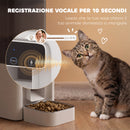 Distributore Automatico di Cibo per Gatti 4,5L con APP e Registratore Vocale in ABS e Acciaio Bianco e Grigio      