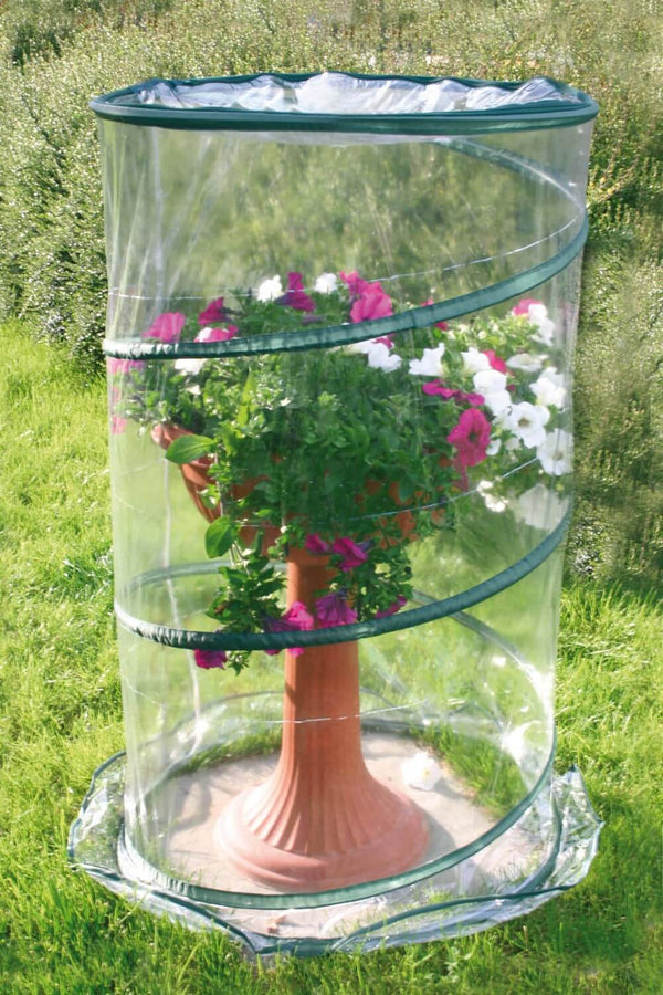 online Serre de Jardin avec Système Pop-Up Ø70cm Rama Anthurium Vert