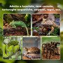 Terrario per Rettili Coperchio Scorrevole con Griglia Metallica e Termometro 50x30x35 cm in Vetro e Metallo Nero 