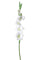 Set 4 Glaïeuls Artificiels Hauteur 85 cm Blanc