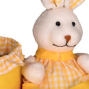 Set 2 Conigli con Contenitore in Stoffa 25 cm