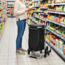 Carrello della Spesa 46x59.5x97 cm con Borsa da 40L Impermeabile e Sedile in Alluminio Nero e Argento      