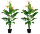 Set 2 Piante Artificiali Strelitzia 70x70x150 cm in Plastica con Vasi Verde