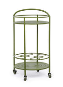 Carrello da Cucina 45x81 cm con Portabottiglie e Ruote in Acciaio Verde