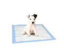 Set 10 traverse assorbenti 60x60 cm per cani e gatti cattura odori