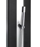 Doccia Solare Ibrida da Giardino 40L Miscelatore e Doccetta Lavapiedi Antracite/Inox