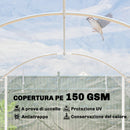 Serra a Tunnel 3x4x2 m con Porte Avvolgibili Telaio in Acciaio e Copertura in PE Anti-UV Trasparente      