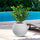 Vaso da Esterno Interno Design a Sfera Ø40x33 cm Botticelli in Resina Bianco