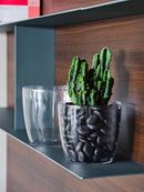 Vaso da Interno e Esterno Ø15x14 cm in Plastica Madeira 16 Trasparente