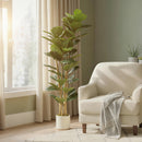 Pianta di Fico Artificiale Verde 50x50x150 cm in PEVA e Legno con Vaso Contenitore in PP e Cemento      