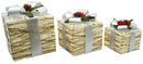 Set 3 Pacchi di Natale con LED in Plastica Bianco e Argento