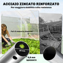 Serra a Tunnel 3x6x2 m con Porte Avvolgibili Telaio in Acciaio e Copertura in PE Anti-UV Trasparente      