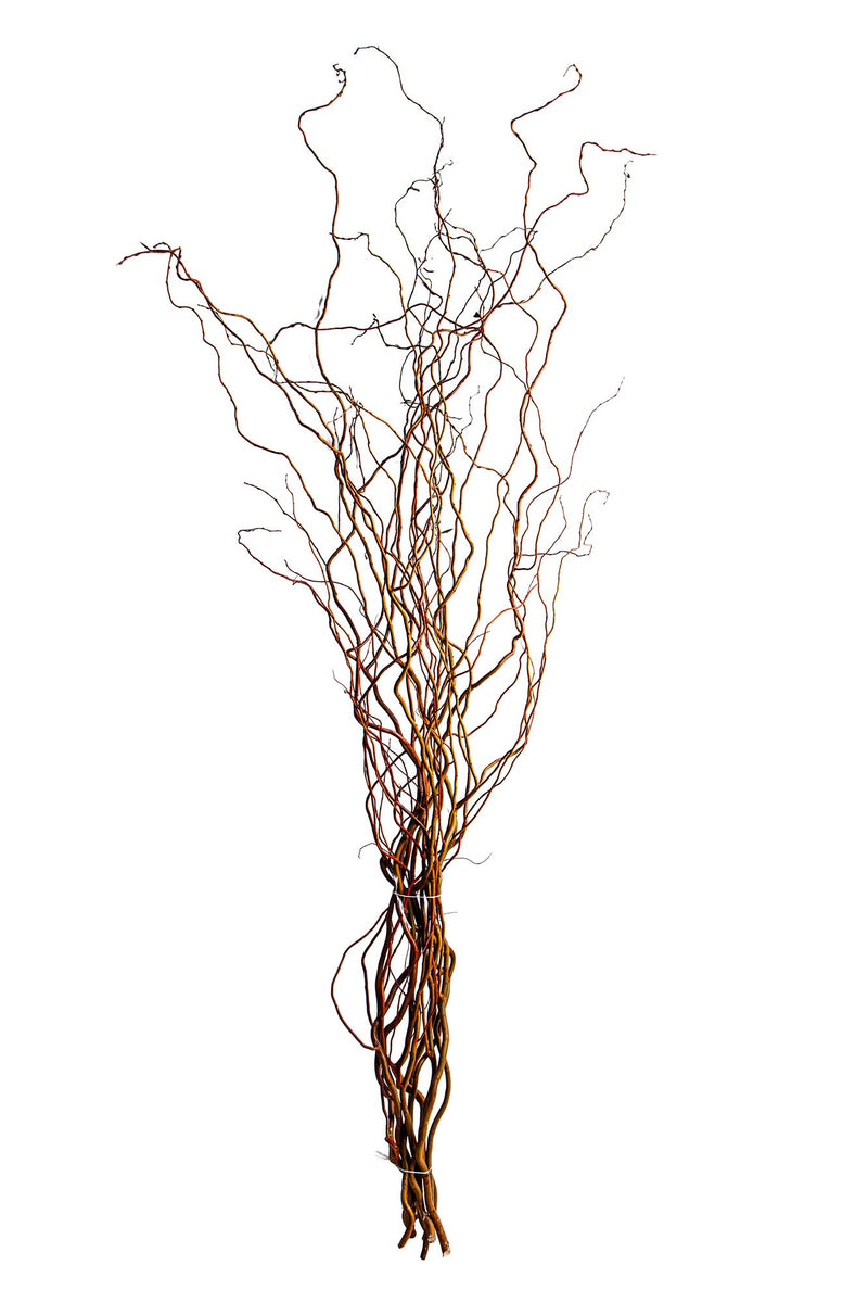 Set 20 Rami Naturali Salix 200 cm Nocciolo