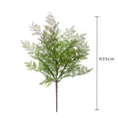 Set 6 Cespugli Capelvenere 51 cm