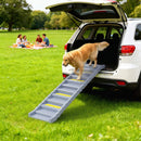 Rampa Pieghevole per Cani per Auto e Letti Alti a 10 Gradini 154x40x7,5 cm con Strisce e Tappetini Antiscivolo in PP e TPR Grigio      